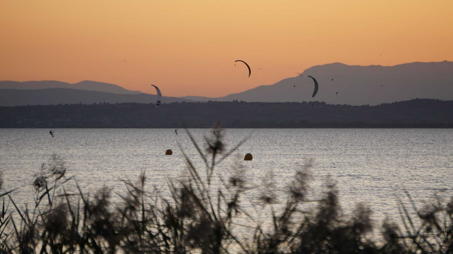 Drei Kitesurfer am Neusiedlersee bei Sonnenuntergang