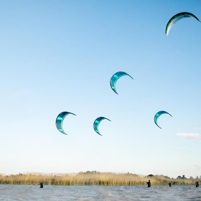 Sechs Kitesurfer stehen mit Kites in der Luft vor einer Schilfinsel